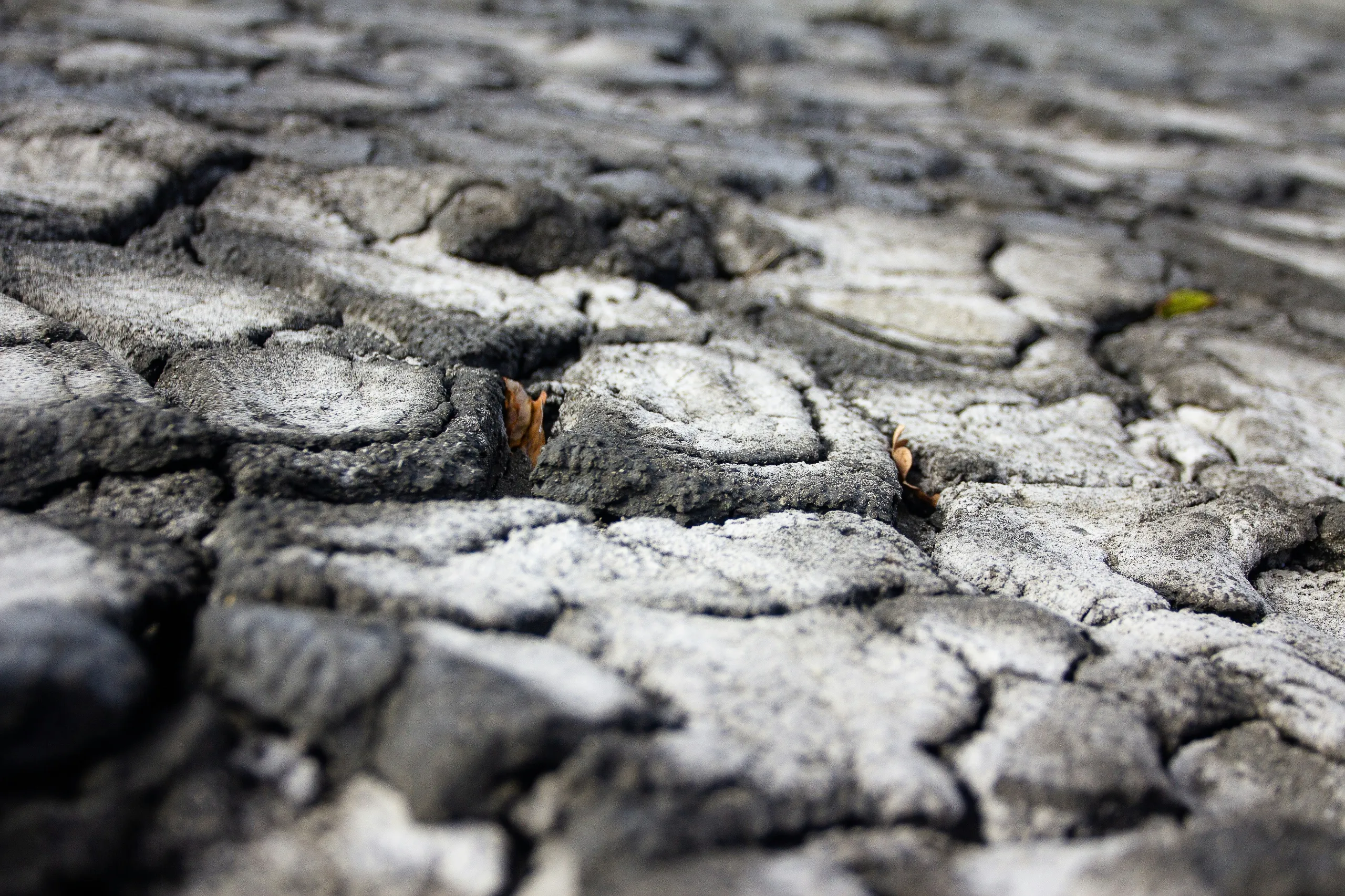 Mud volcanoes and rock carvings